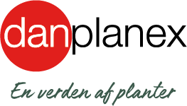 Danplanex