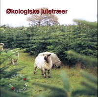 Forsideøkologiskejuletræer 200