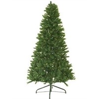 Silverpine
