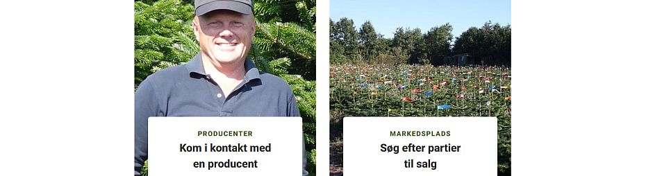 Markedsportal