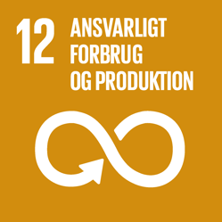 FN verdensmål 16
