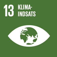 FN verdensmål 13