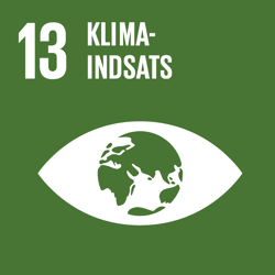 FN verdensmål 13