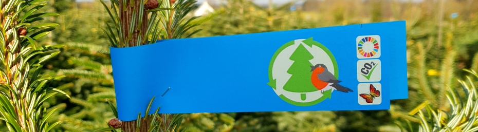 christmastree