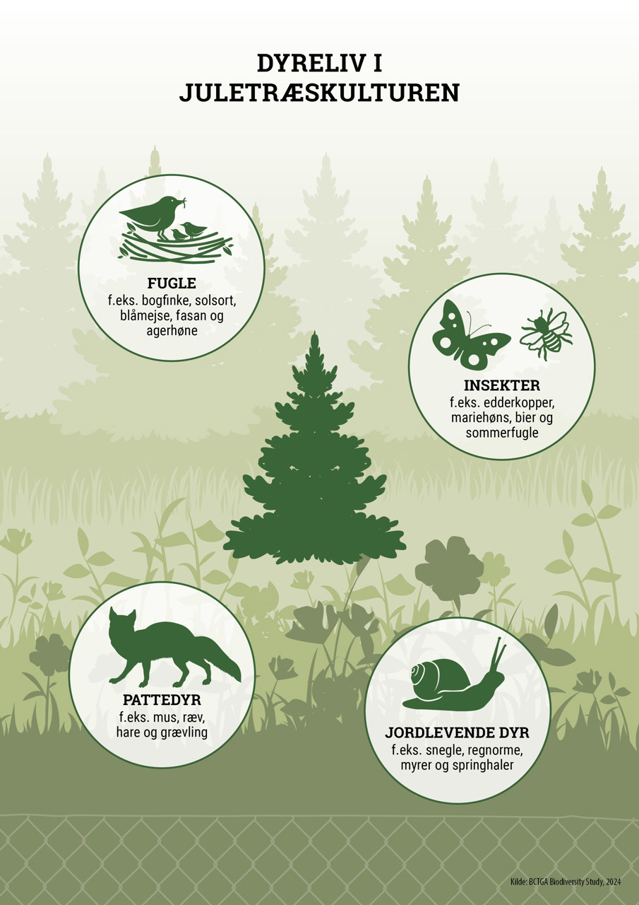Faktaark om dyreliv i juletræsbevoksninger