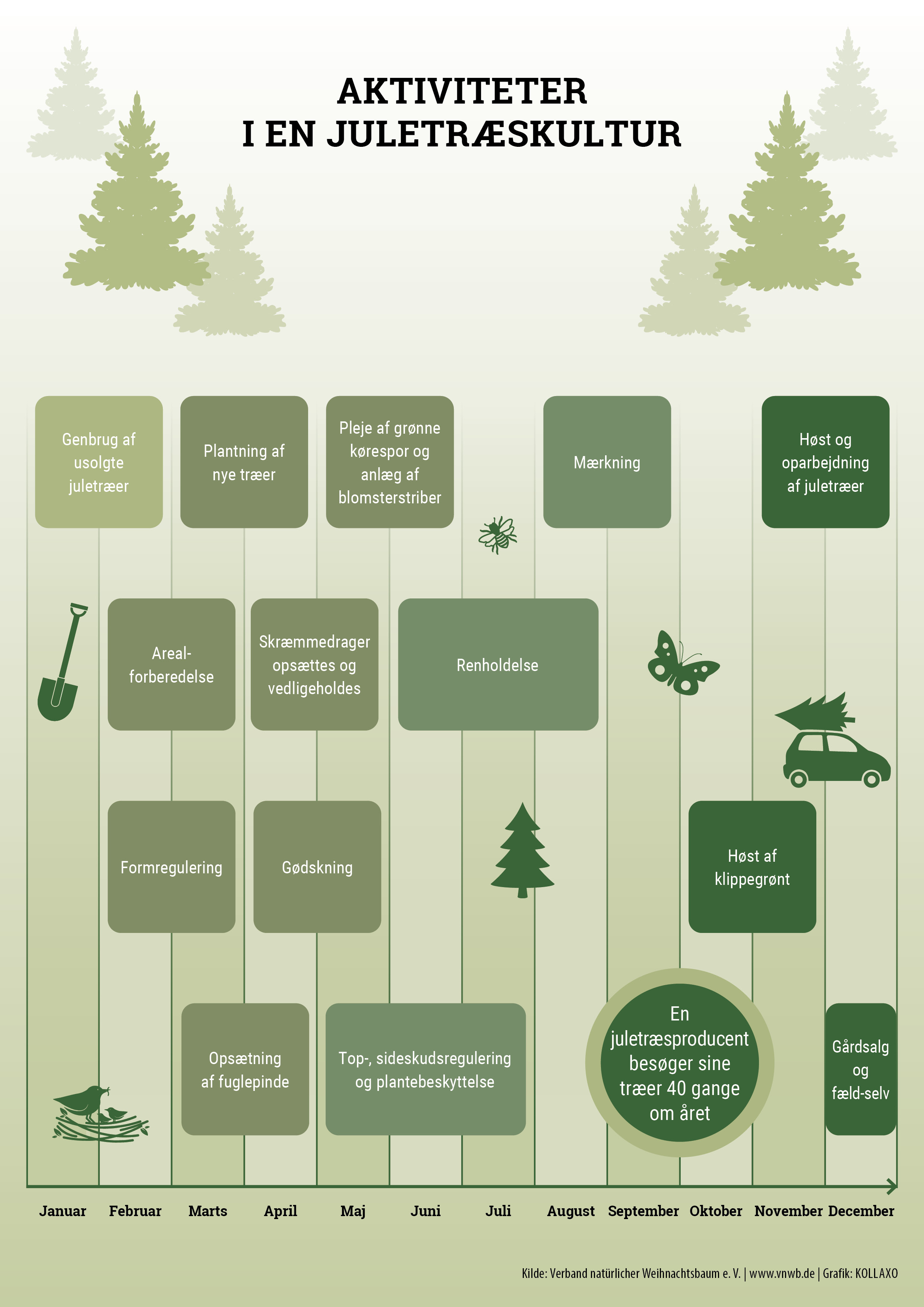 Faktaark om aktiviteter