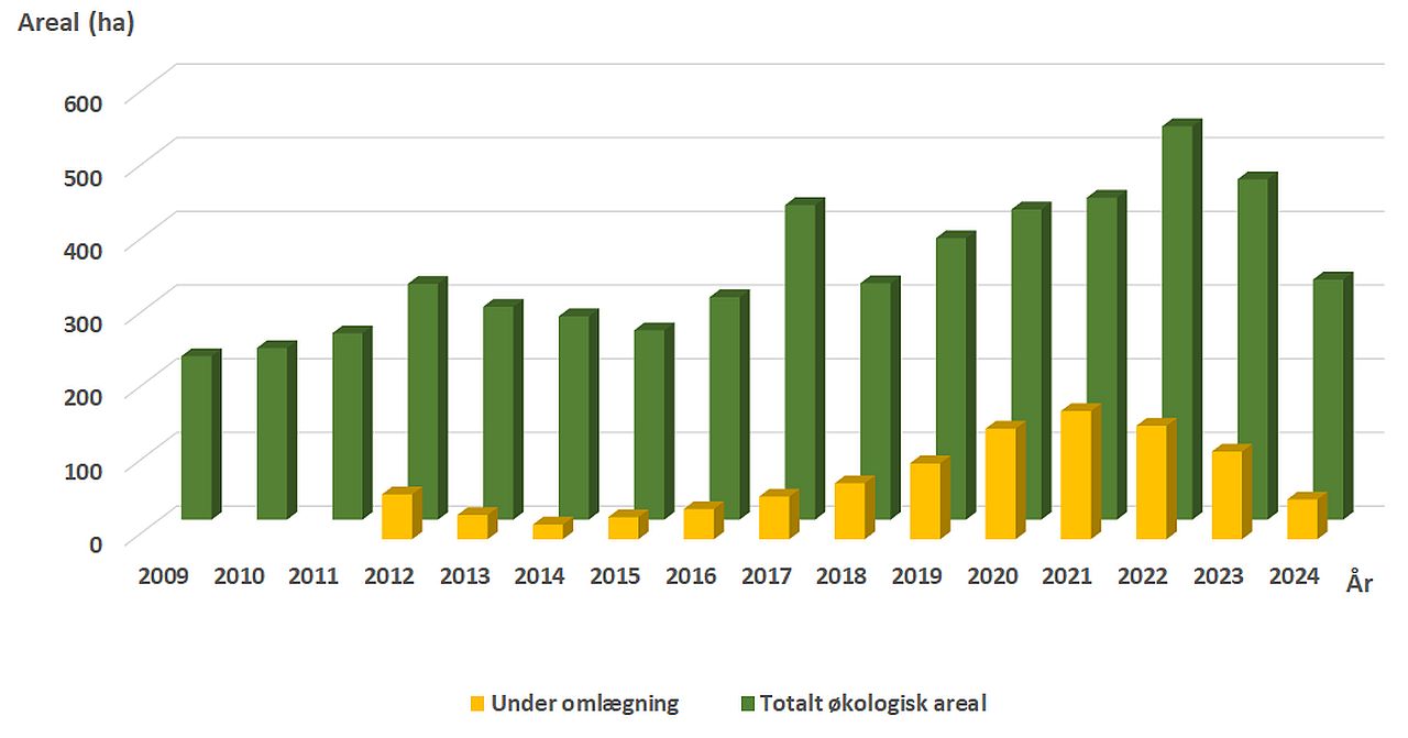 Økologisk areal med juletræer 2009-2024